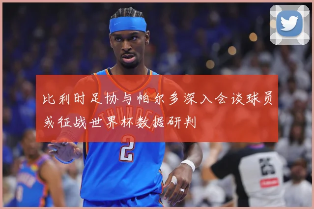 比利时足协与帕尔多深入会谈球员或征战世界杯数据研判